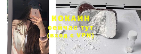 мдпв Каменногорск