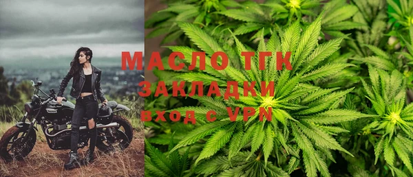 мдпв Каменногорск