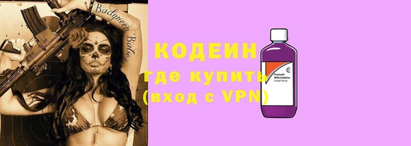мдпв Каменногорск
