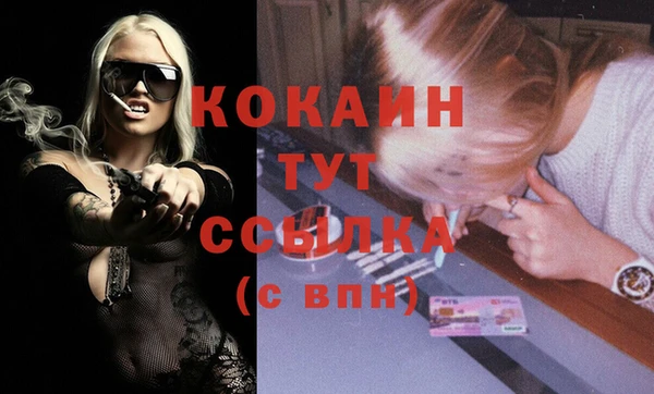 мдпв Каменногорск